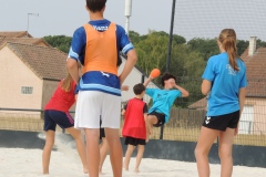 DSCN0342