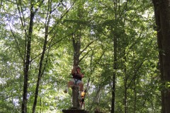 DSCN0906